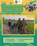 bengkok cover